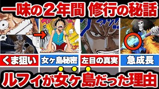 【ワンピース 】麦わらの一味の2年間！くまが計画した一味の成長を徹底解説