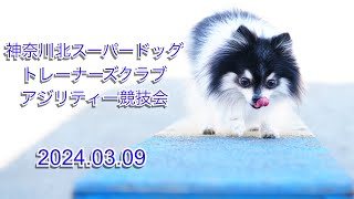 神奈川北スーパードッグトレーナーズクラブアジリティー競技会　2024.03.09