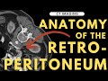 Retroperitoneal anatomy, organs and spaces | Radiology anatomy part 1 prep | CT abdomen