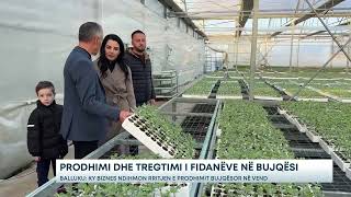 Prodhimi dhe tregtimi i fidanëve në bujqësi/Balluku: Ky biznes ndihmon rritjen e prodhimit...