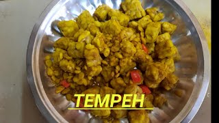 Tempeh-Indonesia/Malaysia food  Easy to make #tempeh#kavivenbafamily #malaysiafood#malaysiavlog