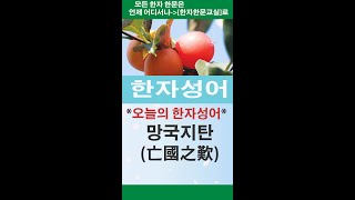 #한자#한문#한자어#한자성어#망국지탄(亡國之歎)