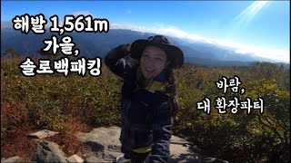 Solo back packing - 1,561m above sea level. King Gari Wangsan back packing.