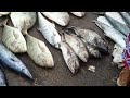 💥 busy fish market 😲 wholesale fish market 🐠🔥chennai kasimedu fish market🐟💢 @adiesvlogsfoods