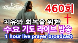 460회-테힐라TV수요치유기도방송 (밤9시30분에 시작합니다)