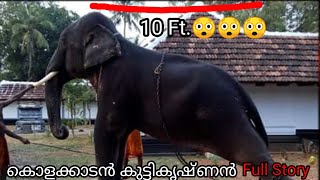 കൊളക്കാടൻ കുട്ടികൃഷ്ണൻ കർണന്റെ പിൻഗാമിയോ? | Mangalamkunnu karnan | Kolakkadan kuttikrishnan |