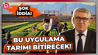 Uzman isimden şoke eden iddia! Çiftçiyi kara günler bekliyor! \