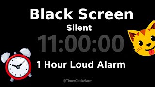 Black Screen 🖥 11 Hour Timer (Silent) 1 Hour Loud Alarm | Sleep and Relaxation