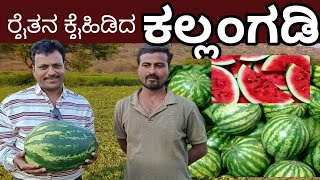 #watermelon Farming in Kannada | #Benefits of Watermelon Farming | #Super Karnataka #viral #video