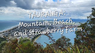 Tauranga: Mountain, Beach, Strawberry Farm