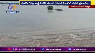 Manjeera River Heavy Flood Inflow By lifting of Sagar Gates | మంజీర నదికి పెరిగిన వరద ప్రవాహం