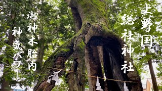 ⛩️【上野国総社神社参拝・群馬県】御神木胎内は神気パワーがすごい！世界平和、コロナ終息をお願いお参りに。