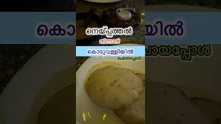 നെയ്‌പ്പത്തൽ തിന്നാൻ പോയപ്പോൾ/ Exploring Kuttanadan food street Koduvally