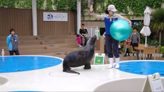 【ハッチのトレーニング20130424@サンシャイン水族館】