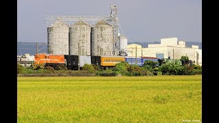 20170627 7202次貨物列車 二水鋼樑大吊車編組 花壇南通過