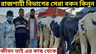 রাজশাহী বিভাগের সেরা বকনের কালেকশন ২০২১।।মঙ্গলবারের পাবনা অরনখোলা হাট আপডেট।।০৯/১১/২০২১।.pabna hat।।