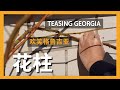 给「初恋」来一个五花大绑【欢笑格鲁吉亚 David Austin roseTeasing Georgia&粉色达芬奇Meiland rose Leonardo da Vinci 】花柱的修剪牵引