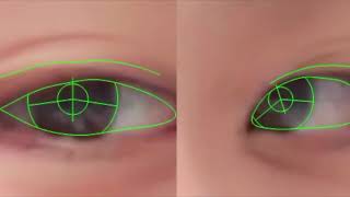 [VisualCamp] Iris/Pupil Tracking Algorithm Sample