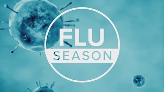 Flu fast facts | VERIFY