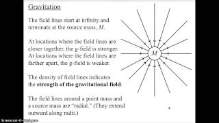 Topic 6 Notes 2