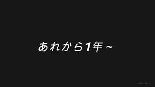 【足長マンチカンな日常】　こんなに大きくなりました編