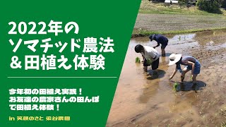 2022年の田植え＆ソマチッド農法実践【里山再生・土壌改善・田植え】