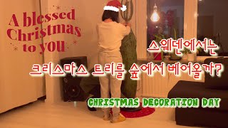 ENG SUB)스웨덴일상🇸🇪|Christmas|크리스마스준비|크리스마스나무|크리스마스장식|Christmastree|유럽에서크리스마스