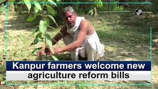 Kanpur farmers welcome new agriculture reform bills