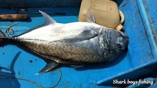 பாறை மீன் பிடிக்கலாம் வாங்க! come on catch for trevally fish