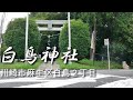 おかちゃん動画　「白鳥神社（ひらとりじんじゃ）川崎市麻生区白鳥