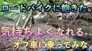 【ツーリング】海外のエンデューロとかに出てきそうないい感じの沢でした。できなそうなことができるの気持ち良すぎ　#エンデューロ #モトブログ #セロー #serow