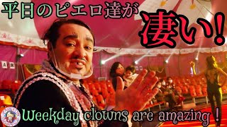 🌸さくらサーカス🎪平日のピエロのギャップ凄い🤡Hans（ハンス）Dumbo（ダンボ）の道化と曲芸🤡SAKURA CIRCUS🎪Gap on weekday clowns show🌸Acrobatics