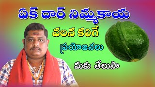 ఏక్ దార్ నిమ్మకాయ వలన కలిగే ప్రయోజనాలు మీకు తెలుసా | Sameera Channel