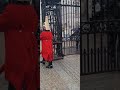 Female guard make way #horseguardsparade