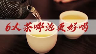 綠茶、紅茶、烏龍茶、普洱茶，6大茶到底能泡幾泡，哪一泡更好喝