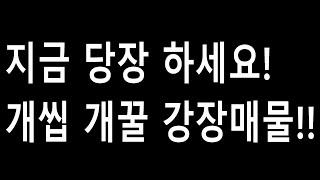 레전드 강장 매물 추천 30화 지금 당장하세요 진심 개꿀매물입니다!