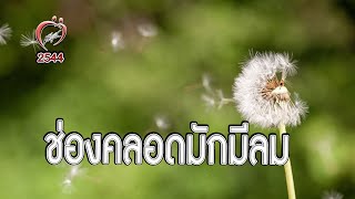 ไม่เคยมีลูก แต่ช่องคลอดมักมีลม? - ชูรักชูรส ep 057