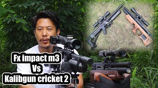 accuracy test of fx impact mk3 and kalibrgun cricket 2 at 50 meters/target shooting/