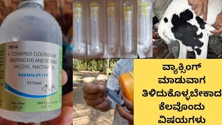 ಟಗರುಗಳಿಗೆ ಹೇಗೆ ವ್ಯಾಕ್ಸಿಂಗ್ ಮಾಡುವುದು[ how to vaccine the Sheep ]sheep farming