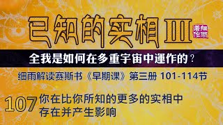 Y3-3-107.1 你在比你所知的更多的实相中存在并产生影响 《已知的实相III》第三册（101-114） 细雨解读赛斯书《早期课》全我是如何在多重宇宙中运作的 五竹译本