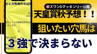 ２０２４年　天皇賞秋予想　３強では決まらない理由と穴馬