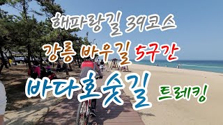 강릉 바우길 5구간 바다호숫길 [해파랑길39코스]트레킹 여행