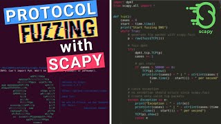 Fuzzing with Scapy: Introduction to Network Protocol Fuzzing
