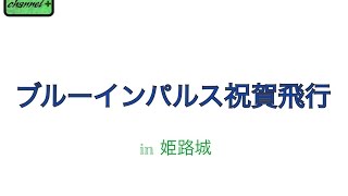 貴重 ブルーインパルス祝賀飛行【一部始終】【姫路城】【最前列】