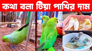 কথা বলা টিয়া ও পাখির দাম || Parrot price in Bd || Bird market in bangladesh || tia pakhir dam