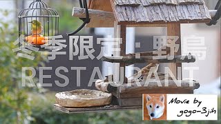 野鳥RESTAURANT🐦