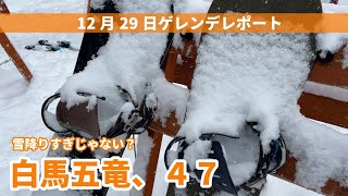 今年は雪がすごいよ！12月29日白馬五竜白馬47エリアレポート