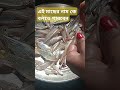 এই মাছের নাম কে বলতে পারবেন 🐟🐟