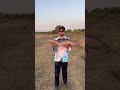 big snakehead murrele fish fishingvideo fishing snakehead snakeheadfishing fish lucana