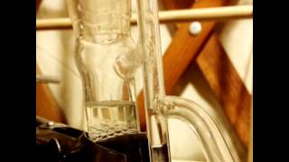 Distillation of Turmeric essential oil in Spagyric preparation (Curcuma longa)